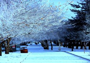 Erzurum mevsim normallerinde